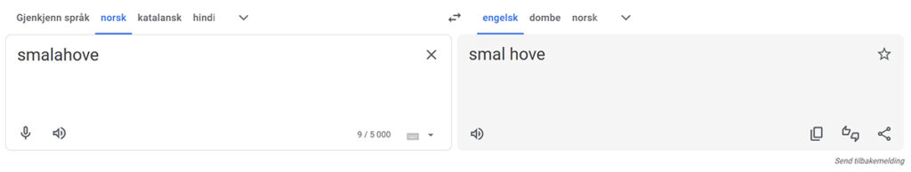 Smalahove er et av mange norske ord som ikke kan oversettes til engelsk. SKJERMSKUDD: Google Translate